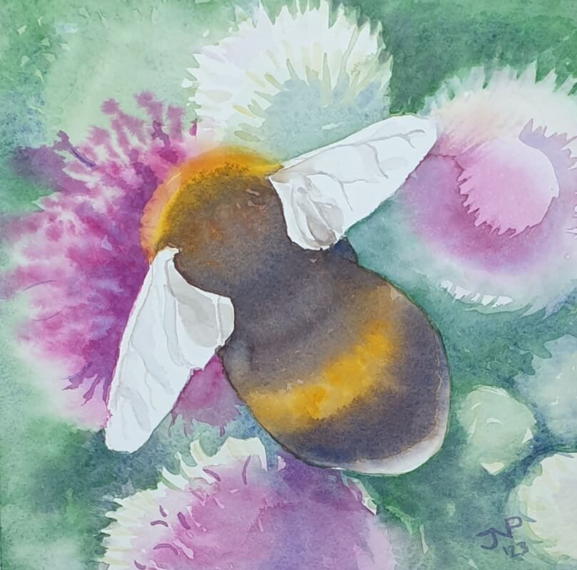 Hommel op roze distel, v2