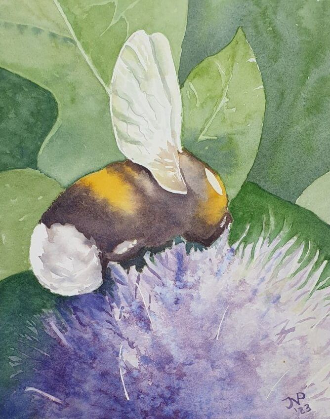 Hommel op blauwe distel Aquarel