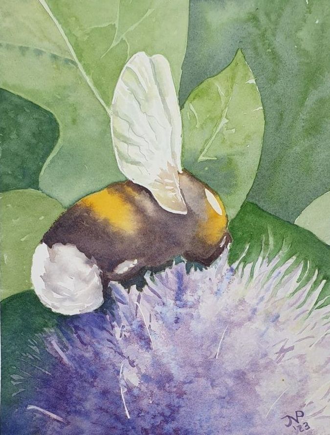 Hommel op blauwe distel. Ik maakte de foto in mijn tuin en probeerde het licht in de bloem te vangen met aquarelverf.
