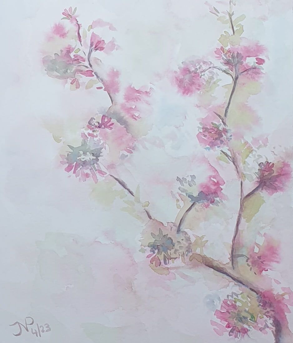 Kersenbloesem vanuit mijn raam - aquarel (verkocht)
Joyce van Paassen Art © 2023