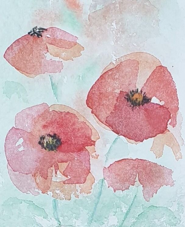 Klaprozen geschilderd met aquarel. Ik wilde het tere van de bloemblaadjes weergeven met zo min mogelijk verf. 