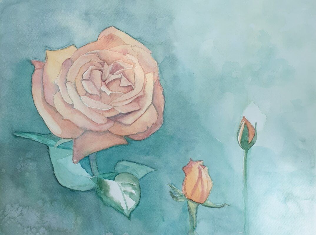 Roos - aquarel - Joyce van Paassen Art 2023 ©