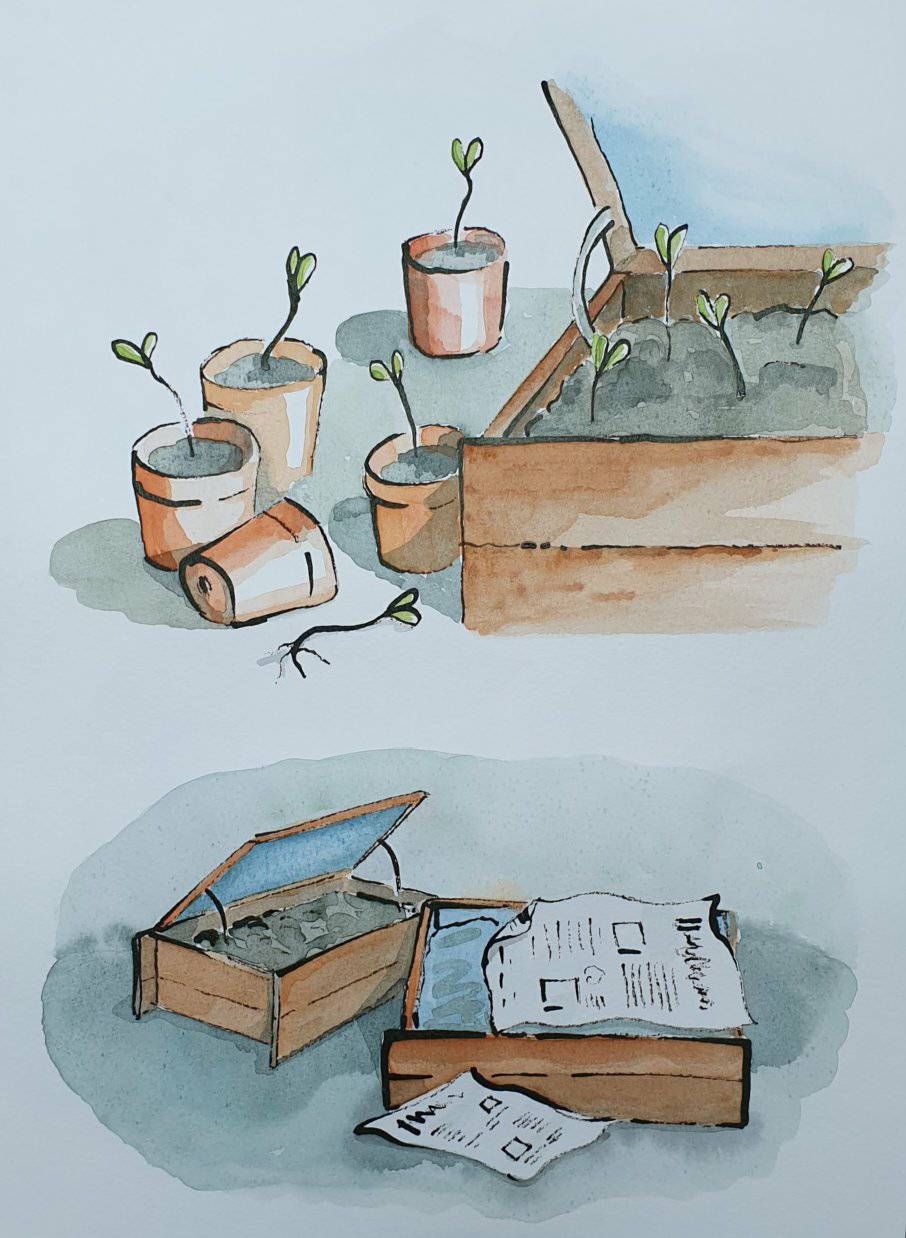 Illustratie waarin het planten van zaden visueel is gemaakt.