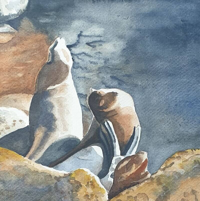 Zonnebadende zeeleeuwen
aquarel op handgeschept katoen aquarelpapier
21,5 x 21,5 cm - VERKOCHT
Joyce van Paassen Art © 2024