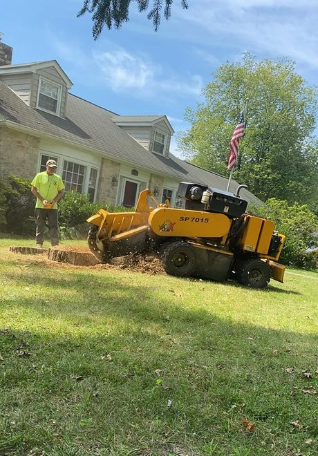 Tree Stump Removal — Huntingdon Valley, PA — Liberty Tree Service Tree Stump Removal — Huntingdon Valley, PA — Liberty Tree Service