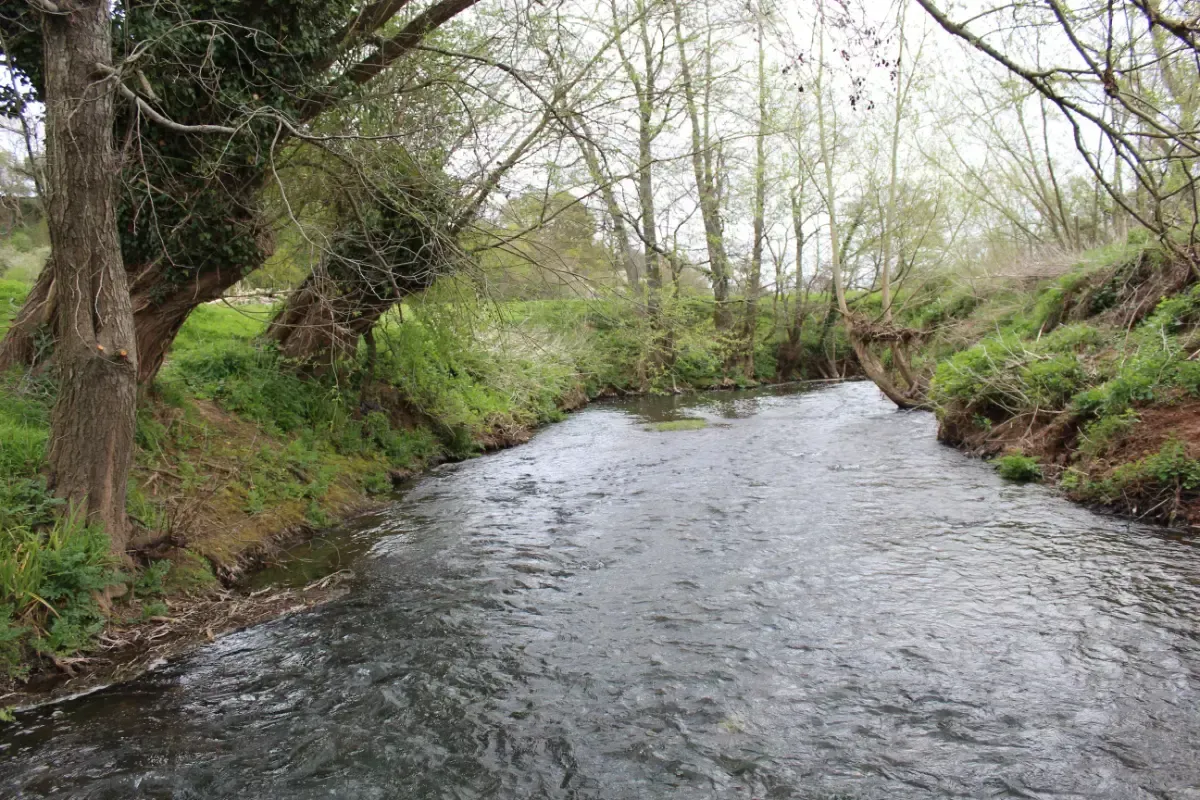 A river flows between grassy banks lined with trees under a cloudy sky.