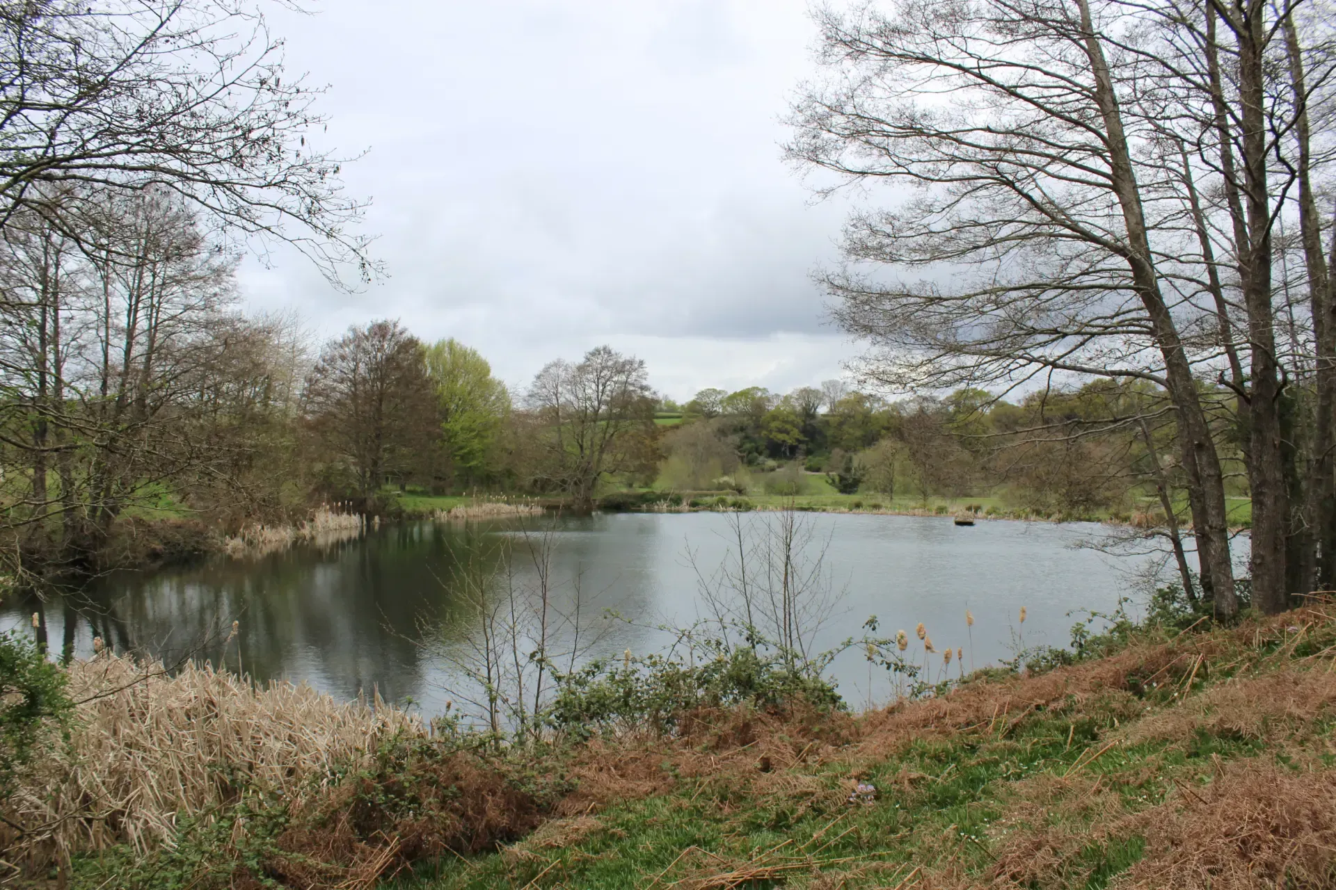 A calm lake surrounded by trees and grassy banks under a cloudy sky.