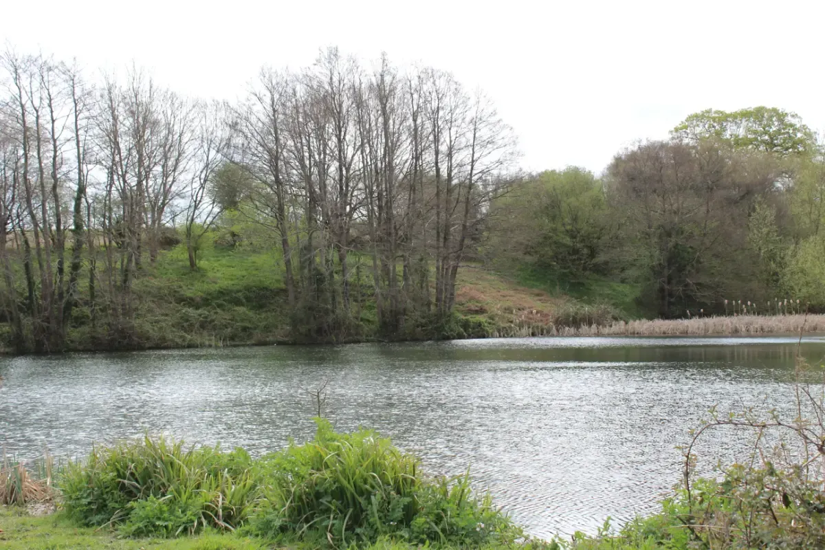 A lake surrounded by trees and a grassy bank under a cloudy sky.