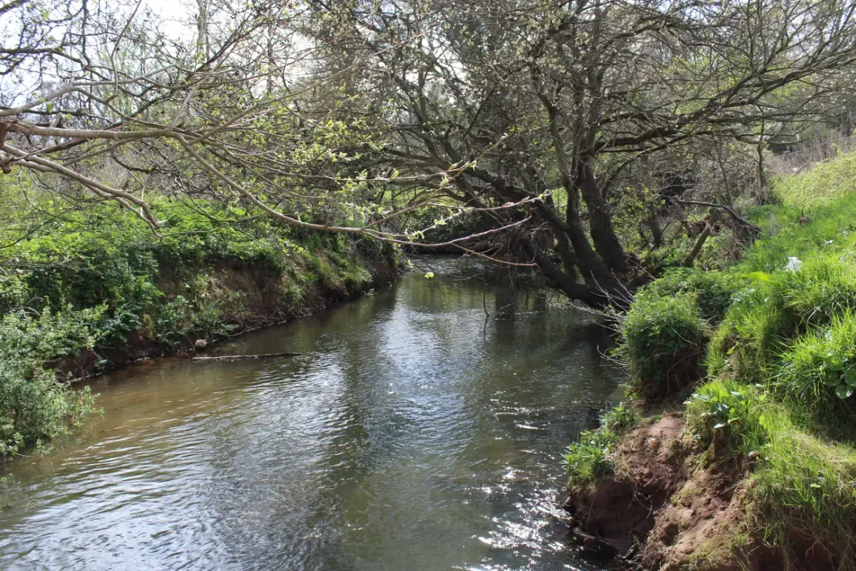 A narrow, tree-lined river flows through a grassy landscape on a sunny day.