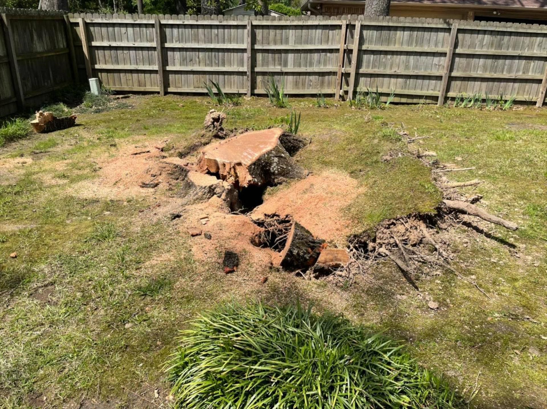 A large tree stump is sitting in the middle of a yard next to a wooden fence.