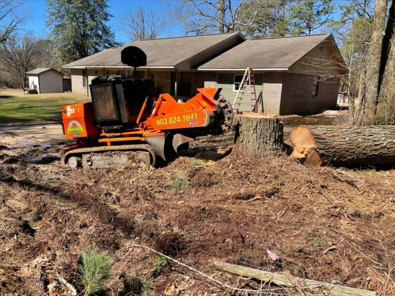 A machine is cutting a tree stump in front of a house.