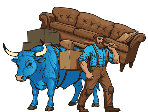 Man and blue ox carry furniture and boxes.