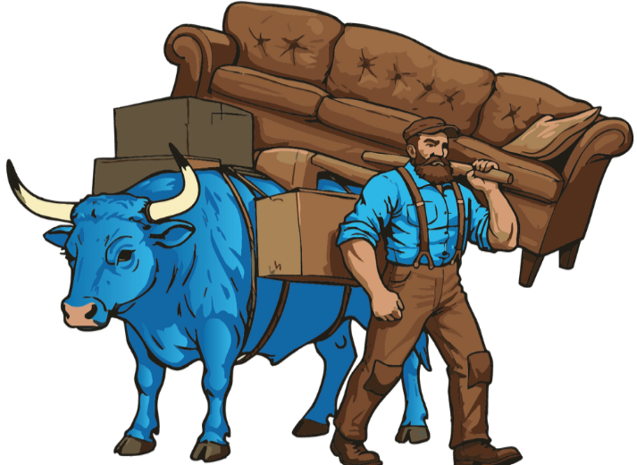 Man and blue ox carrying furniture and boxes.