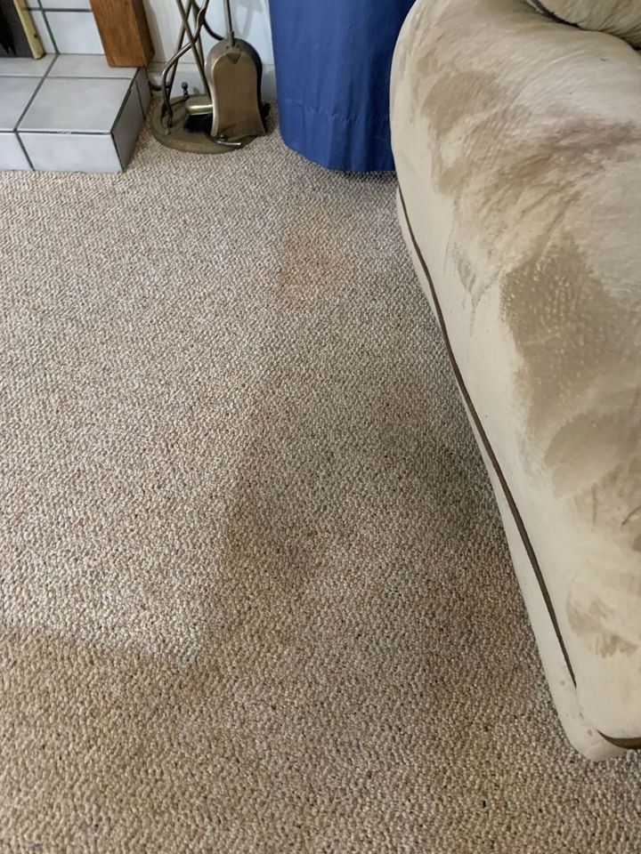 carpet cleaning