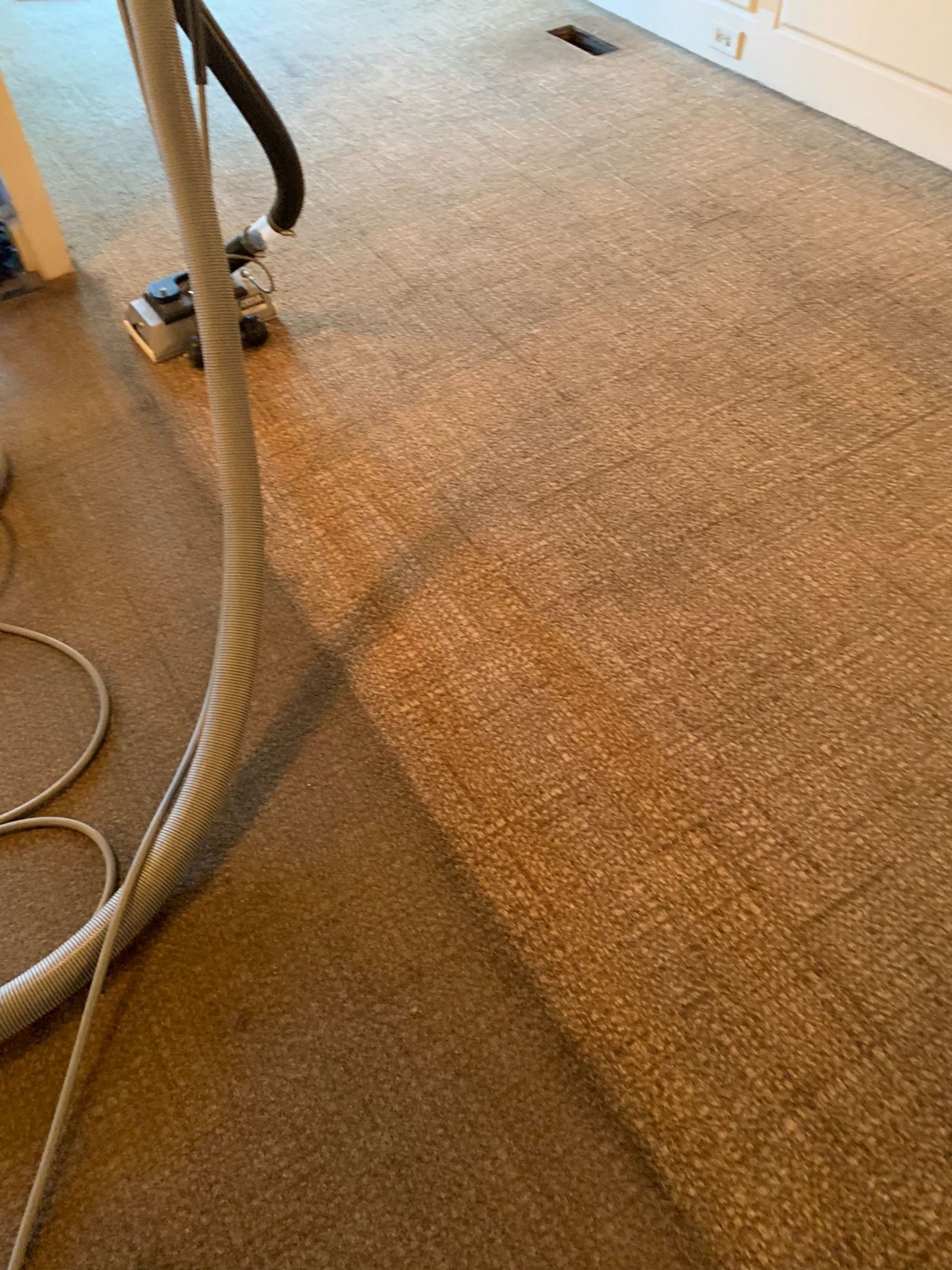 carpet cleaning