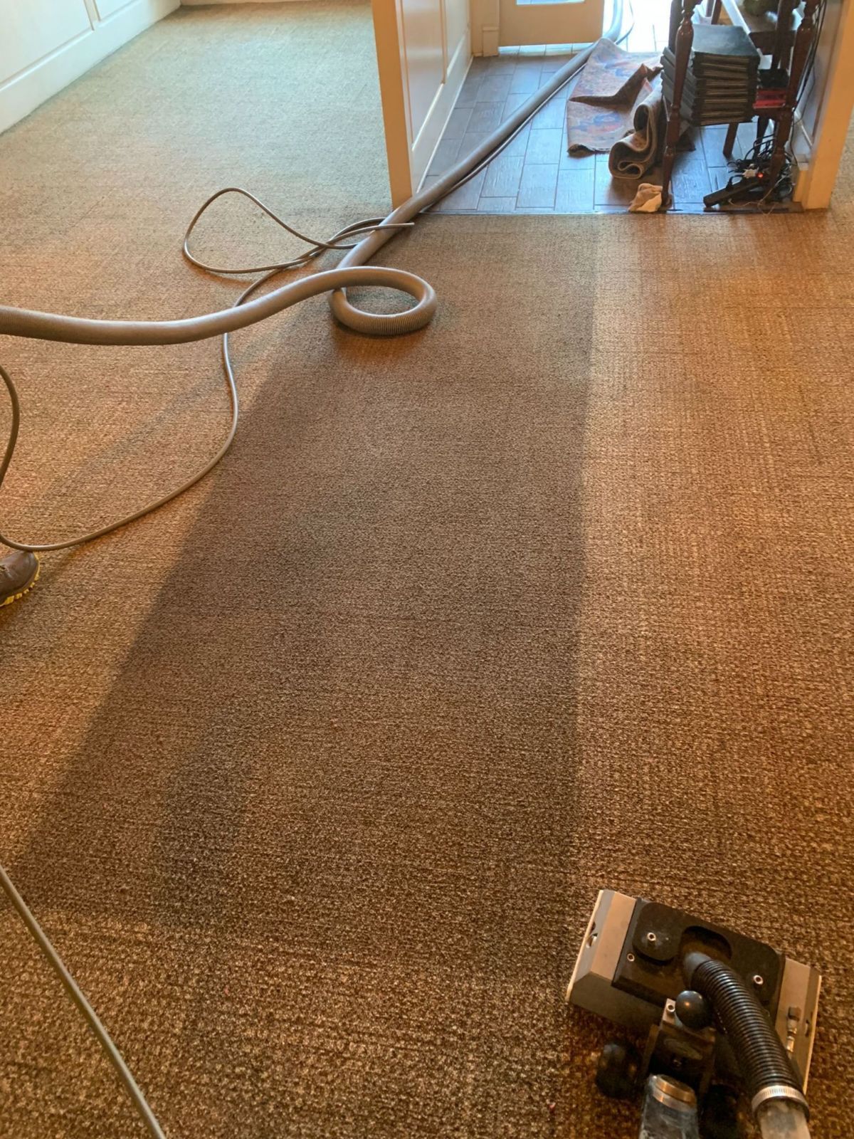 carpet cleaning
