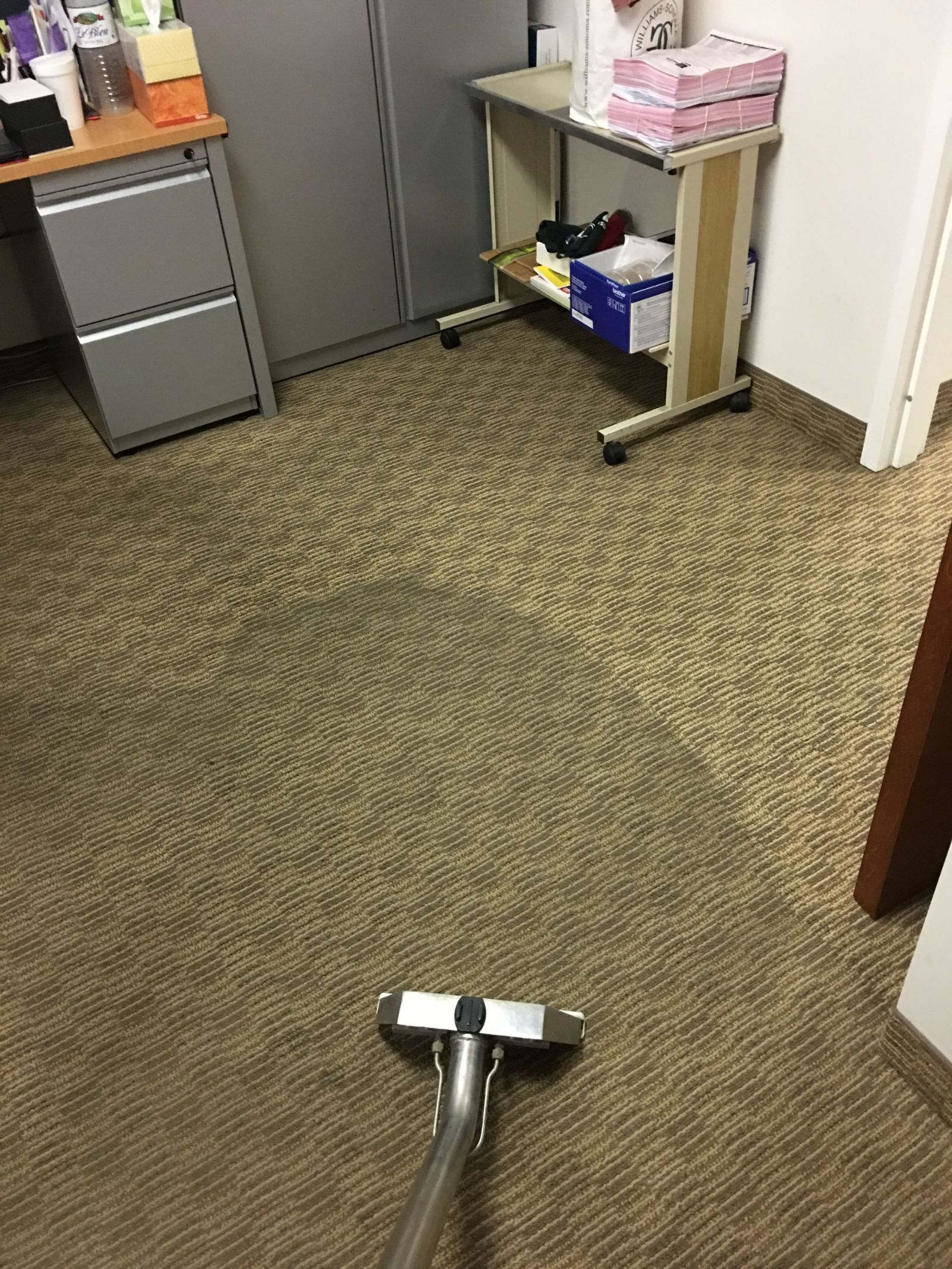 carpet cleaning