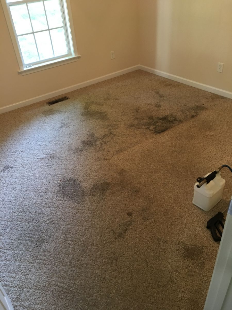 Able Carpet & Rug Cleaning Svc
