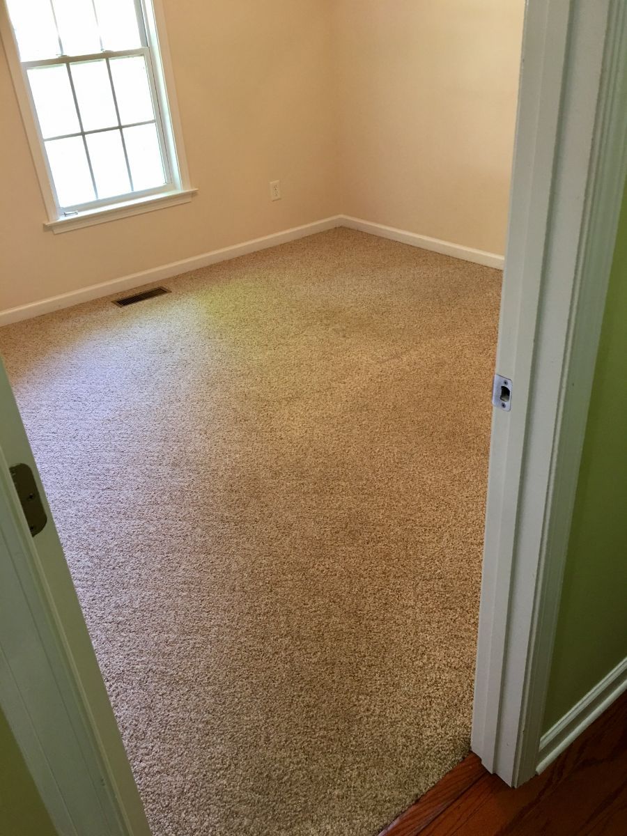 Able Carpet & Rug Cleaning Svc