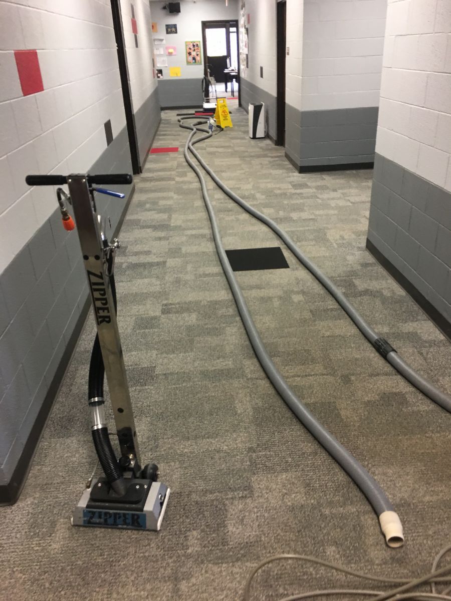 Able Carpet & Rug Cleaning Svc