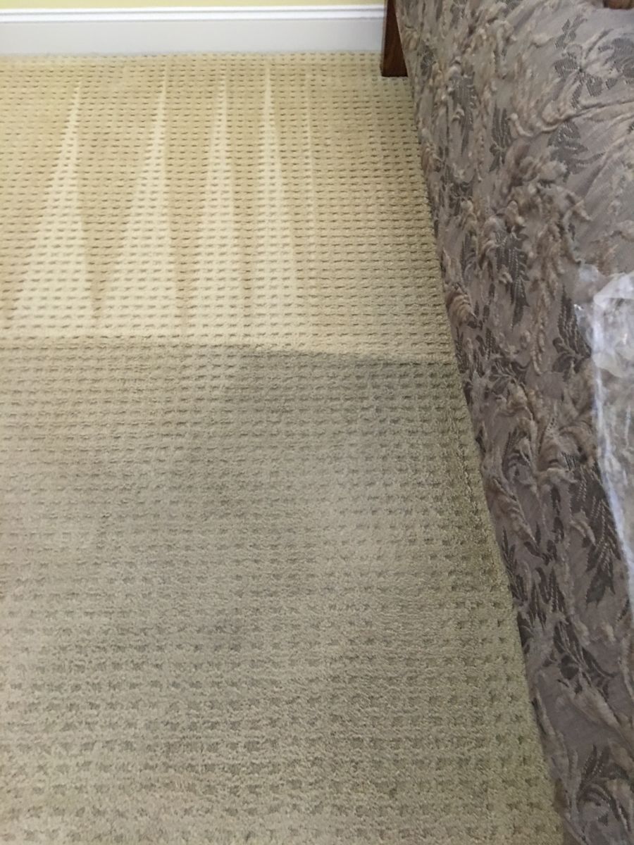 Able Carpet & Rug Cleaning Svc