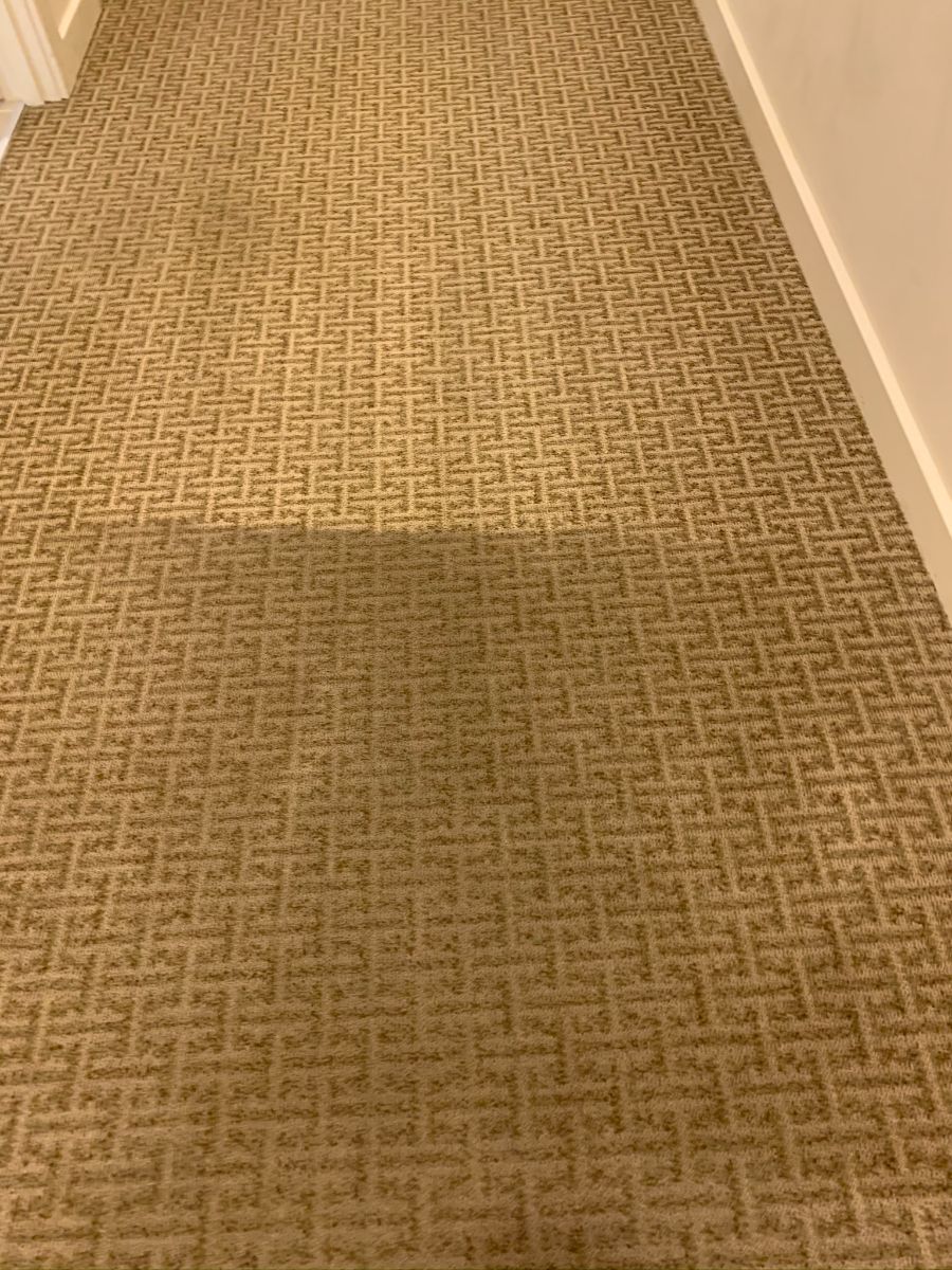 Able Carpet & Rug Cleaning Svc