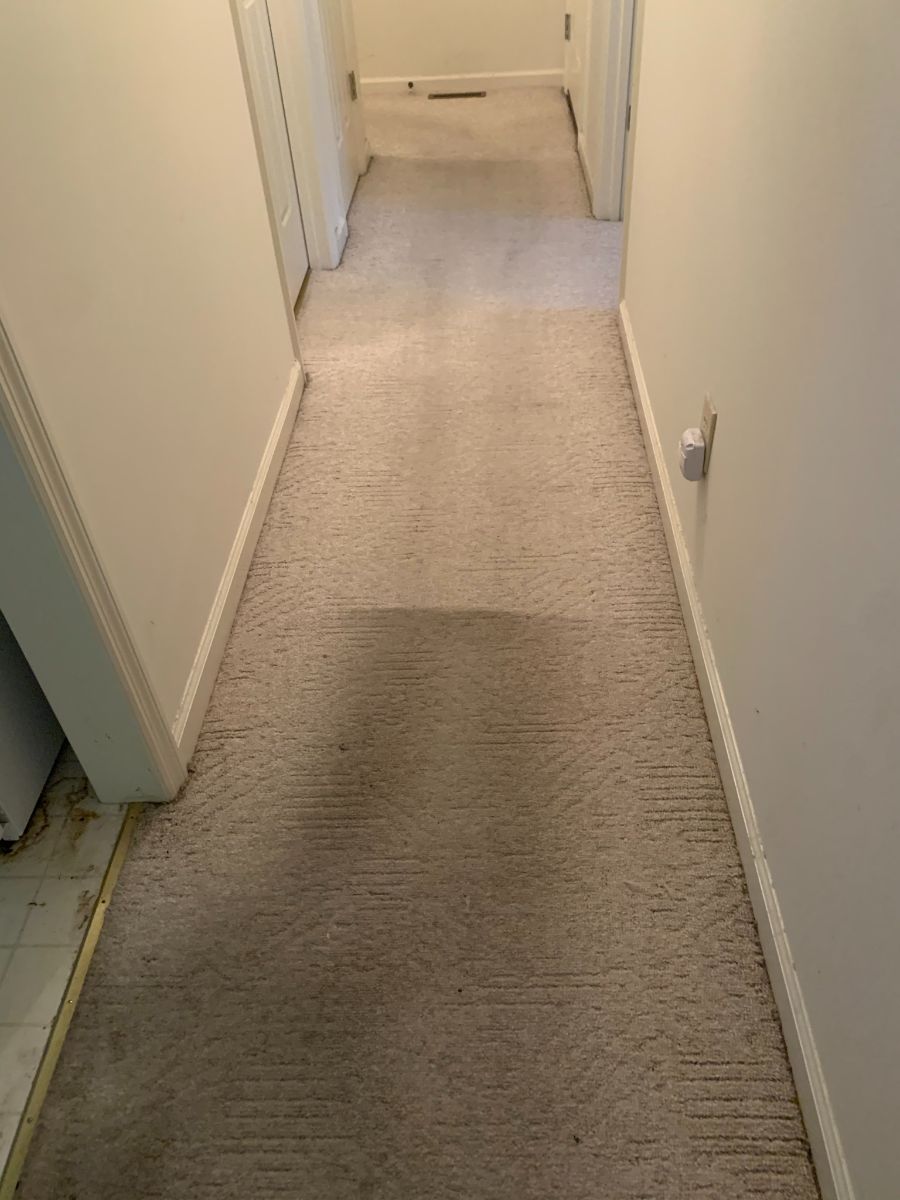 office carpet cleaning