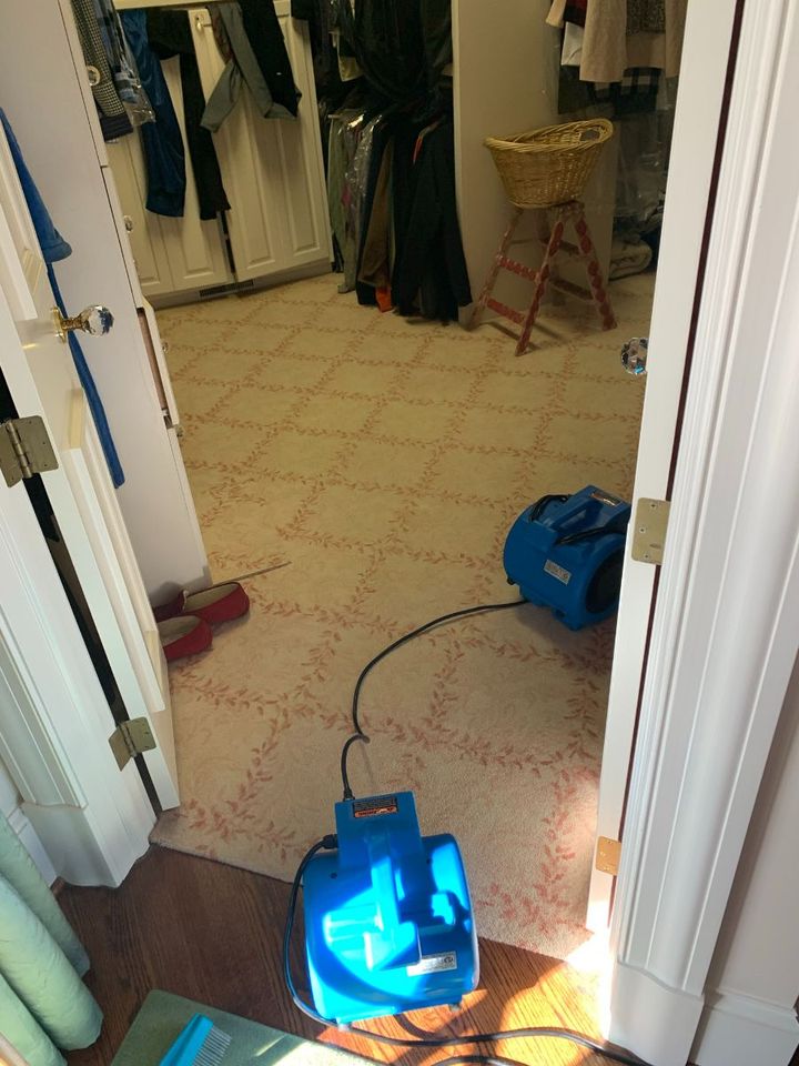 office carpet cleaning