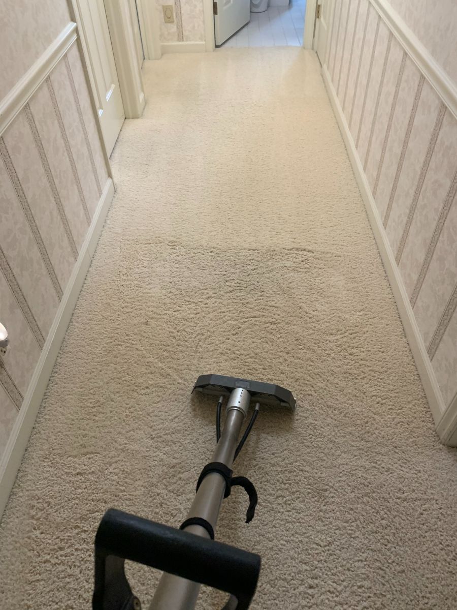 office carpet cleaning