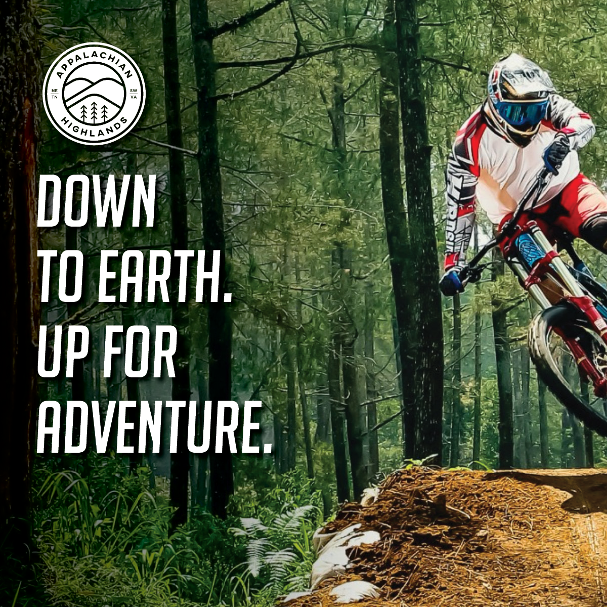 Mountain biker riding downhill trail. 