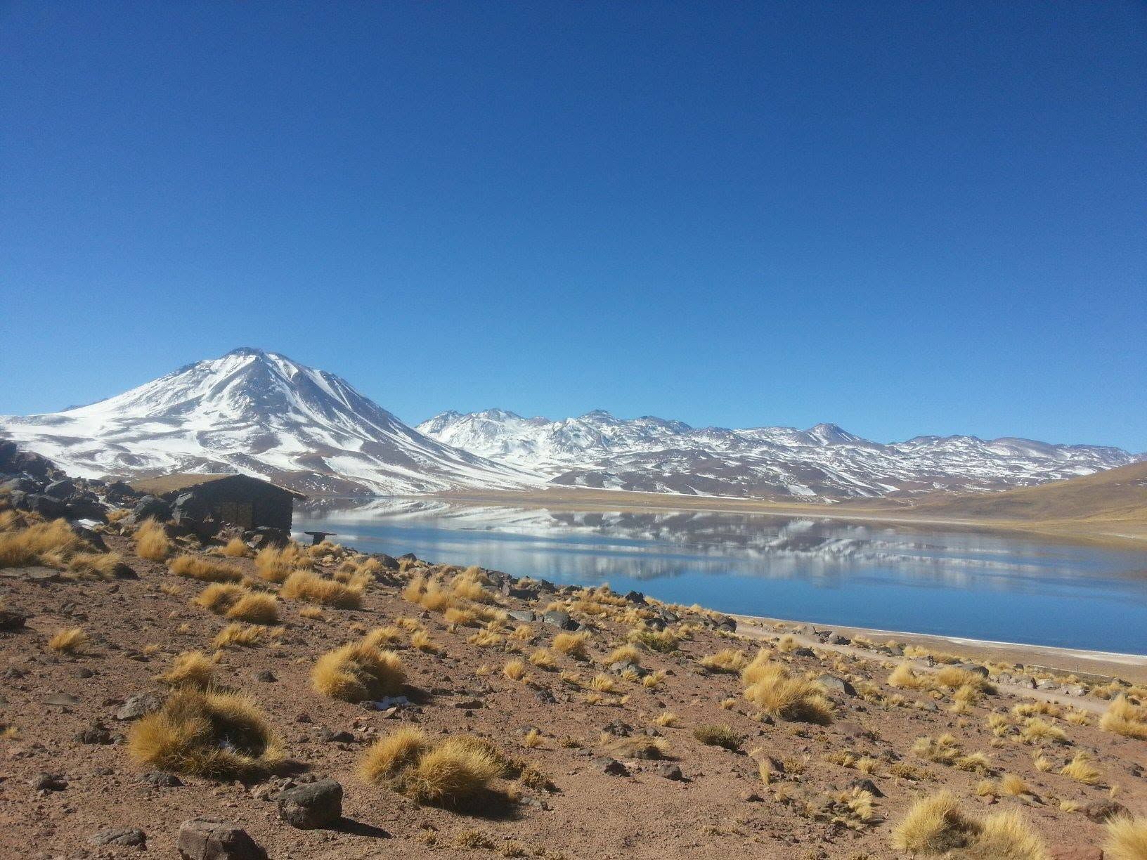 Montaña nevada junto a un lago tranquilo bajo un cielo azul despejado, con arbustos secos en primer plano