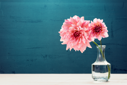 Send Flowers Banner