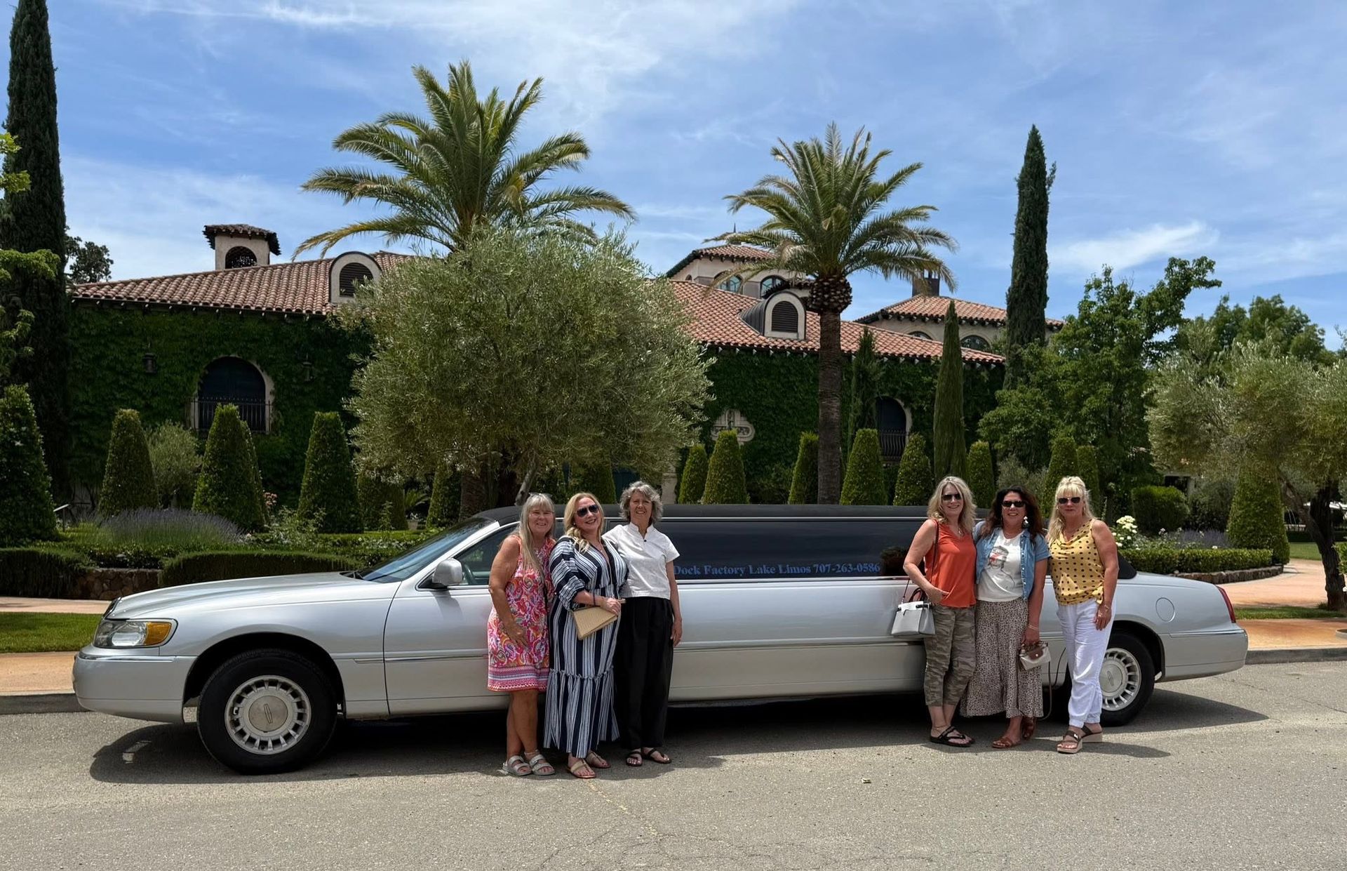 Group posing beside a silver limousine on a sunny street with palm trees and a villa in the background