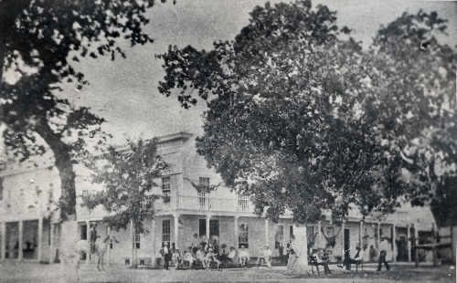 Black-and-white photo of a tree-lined street with a row of storefronts and people gathered outside.