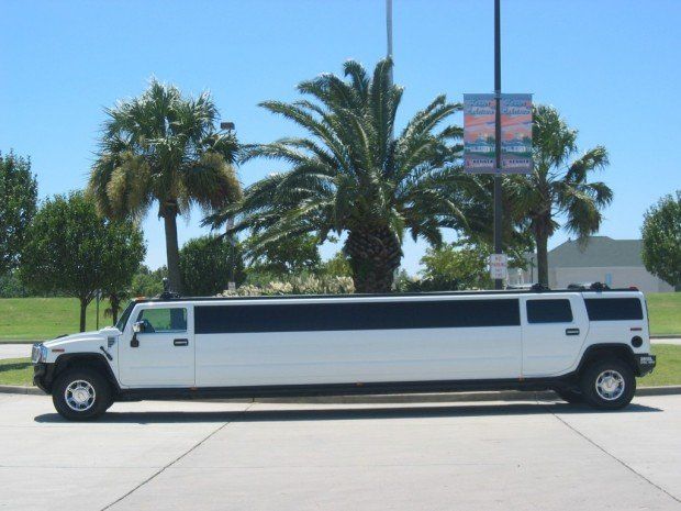 A white limousine is parked in front of palm trees