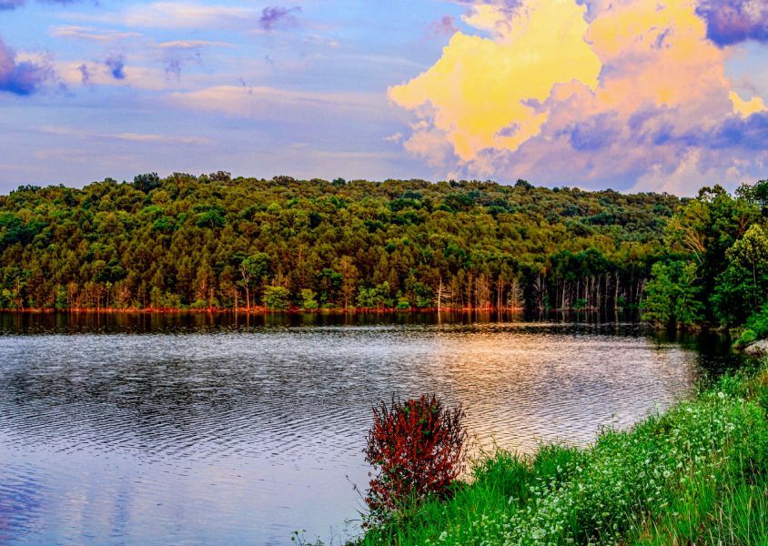 norfork lake