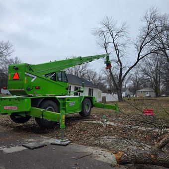 A large pile of trash is being picked up by a crane.