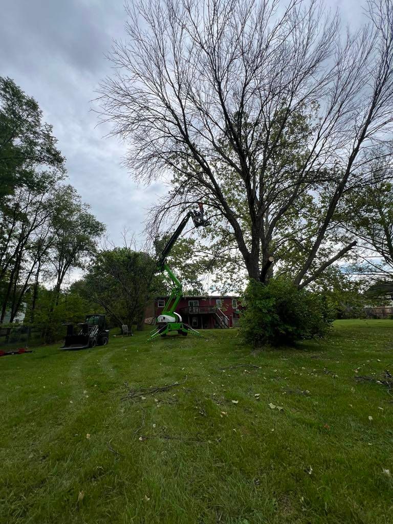 A green tractor is cutting a tree in a yard.