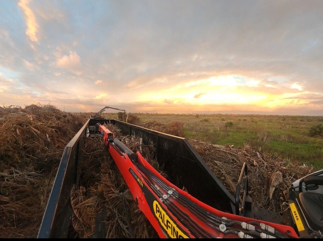 A roller coaster is going through a field at sunset.