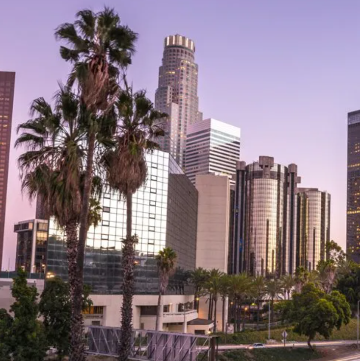 A city skyline with palm trees in the foreground