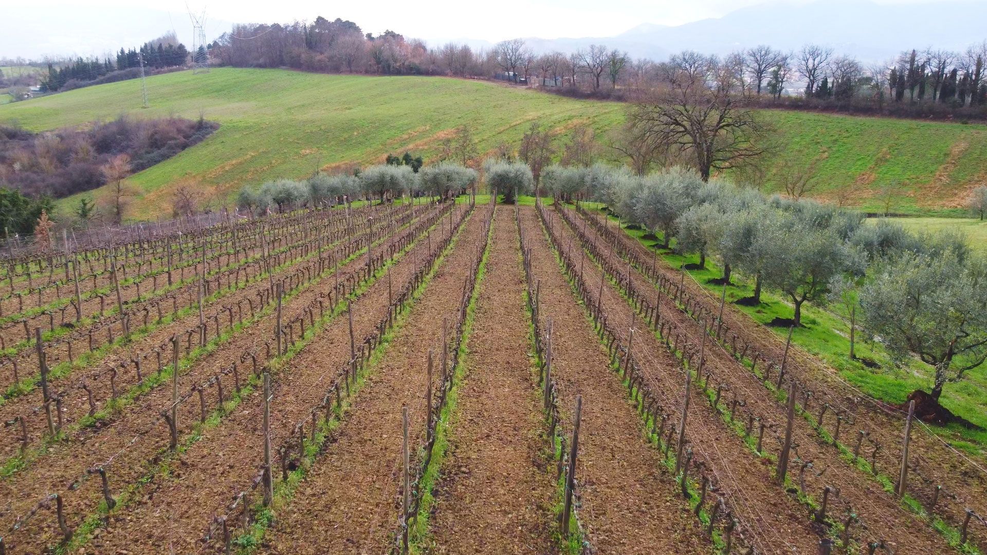 Azienda agricola a Barberino di Mugello