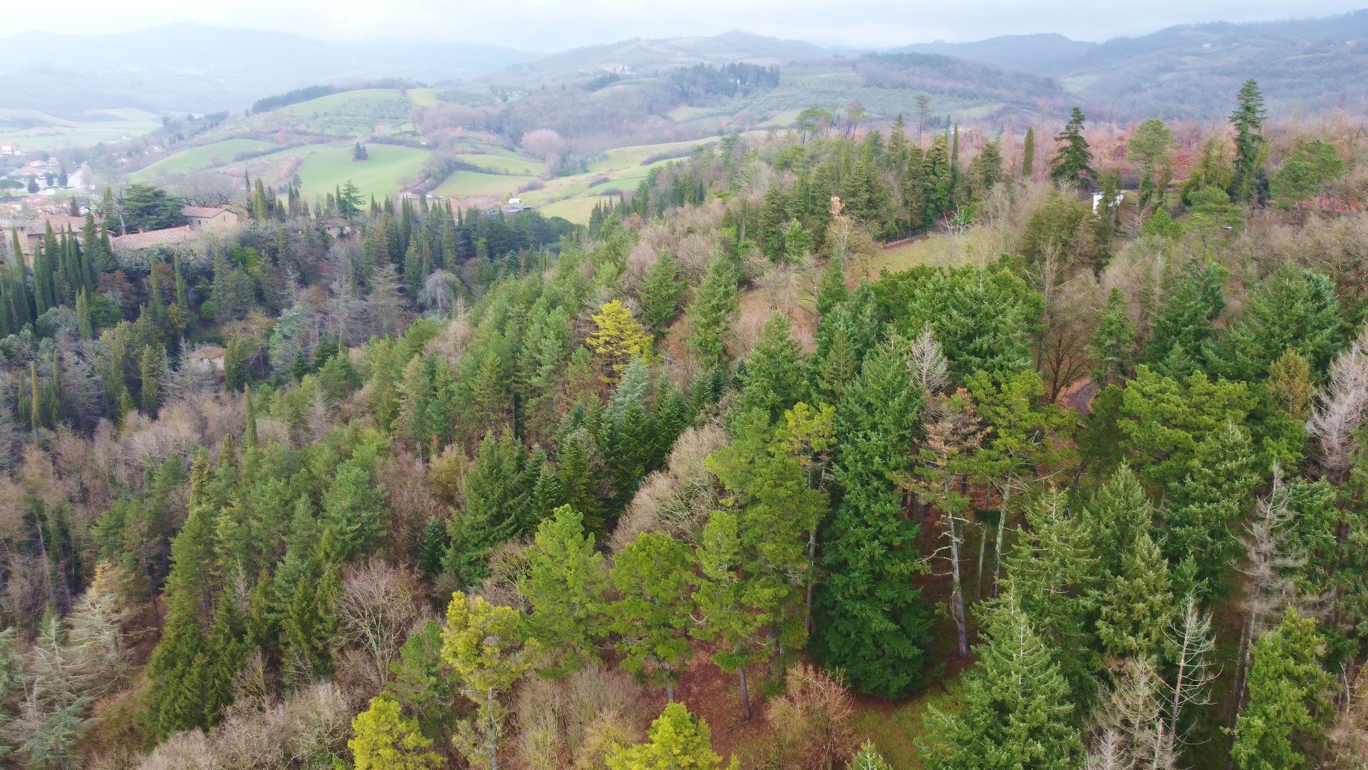 Azienda agricola a Barberino di Mugello