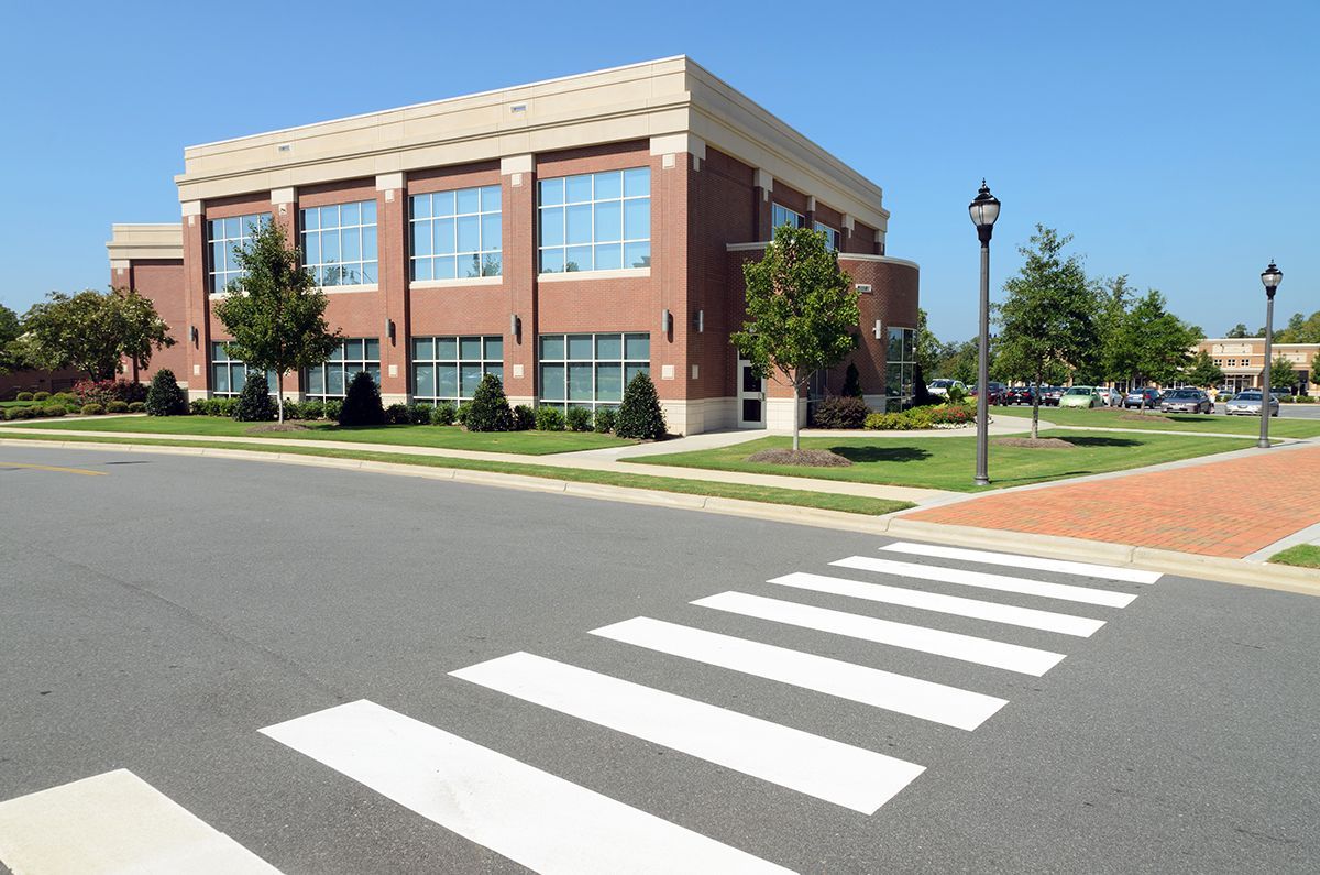 Tree & Shrub Care Tree & Shrub Care
