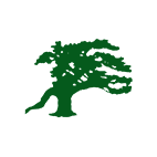 Sagoma di un albero verde con un'ampia chioma su sfondo bianco.