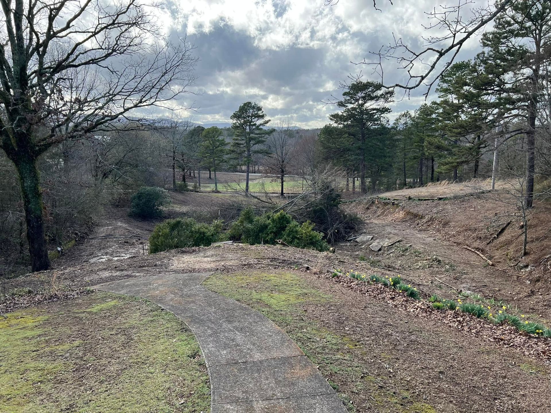 A wooded park path leading to an open field under a cloudy sky