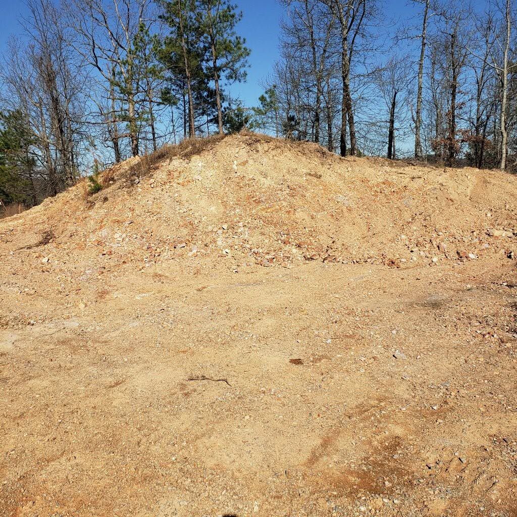 Bare dirt mound in a wooded area under a clear blue sky