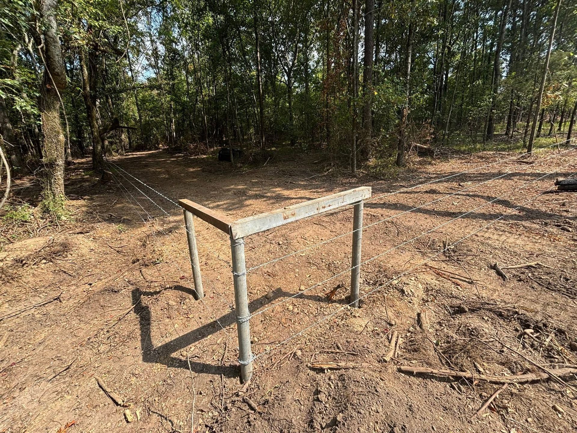 Rustic wooden table with metal legs in a dry wooded clearing.