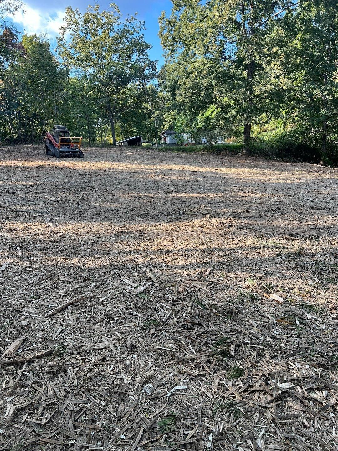 Wooded clearing with wood chips and a small tractor in the distance