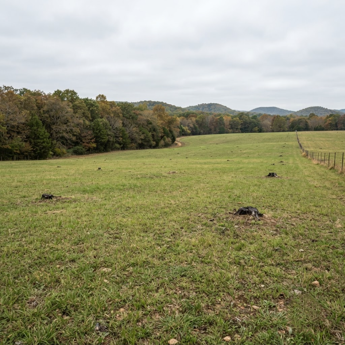 Grassy field with a tree line and low hills under a cloudy sky