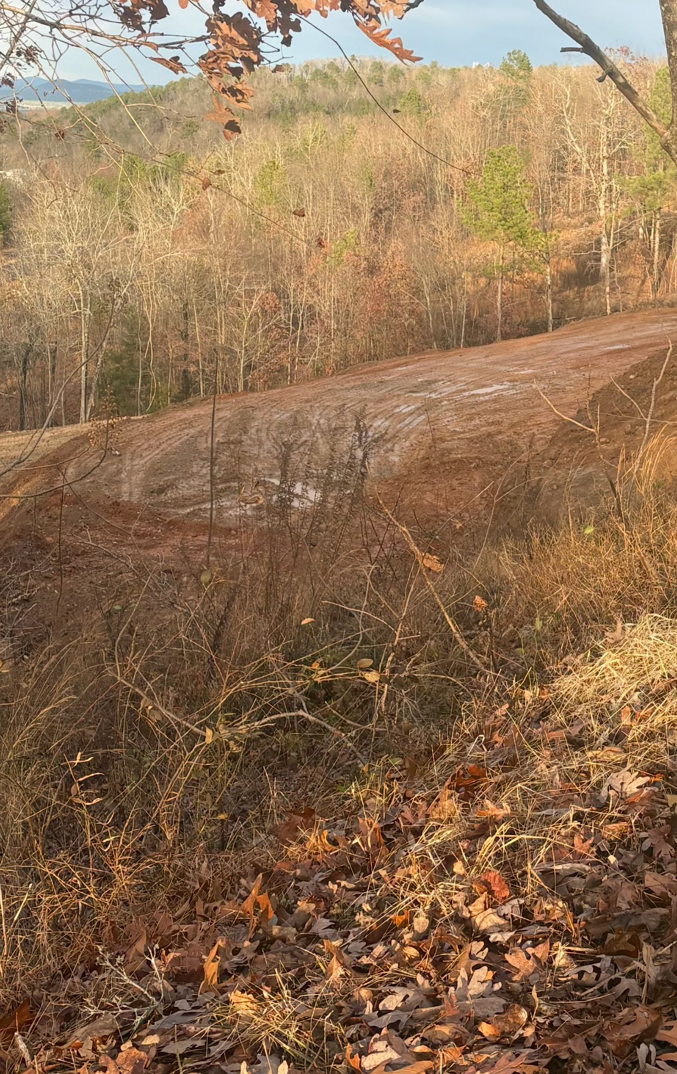 Dry grassy hillside with a dirt path, fallen leaves, and distant trees under a clear sky